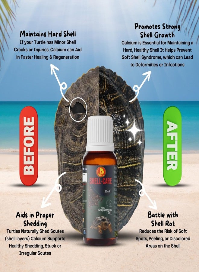 Sage Square Pet Care International Shell Care | Nourishes & Protect Turtle & Tortoise Shell | Enhances Strength, Gloss & Hydration | Prevents Cracks, Dryness & Deformities | Shell Care Solution (30ml) - Image 4